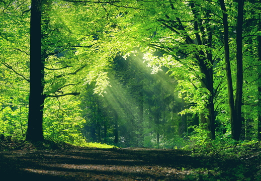 AdobeStock 285297581 F