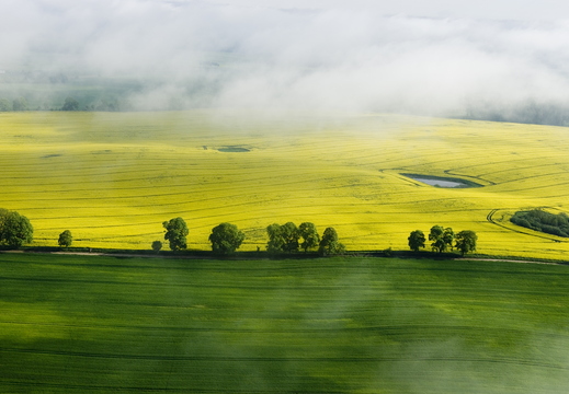 iStock-104631976