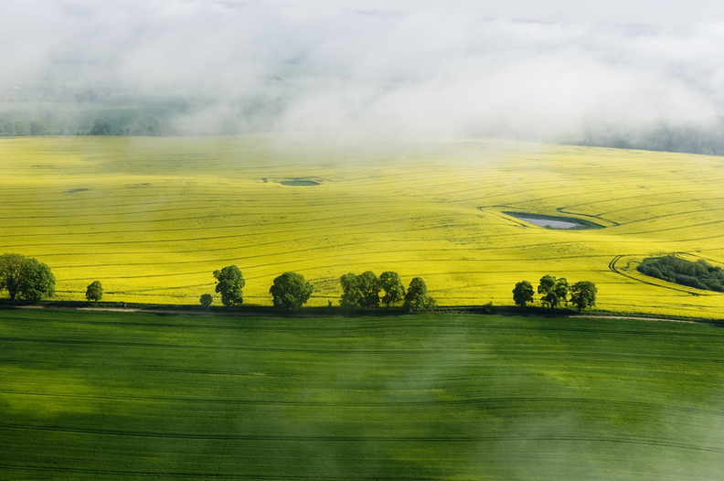 iStock-104631976.jpg