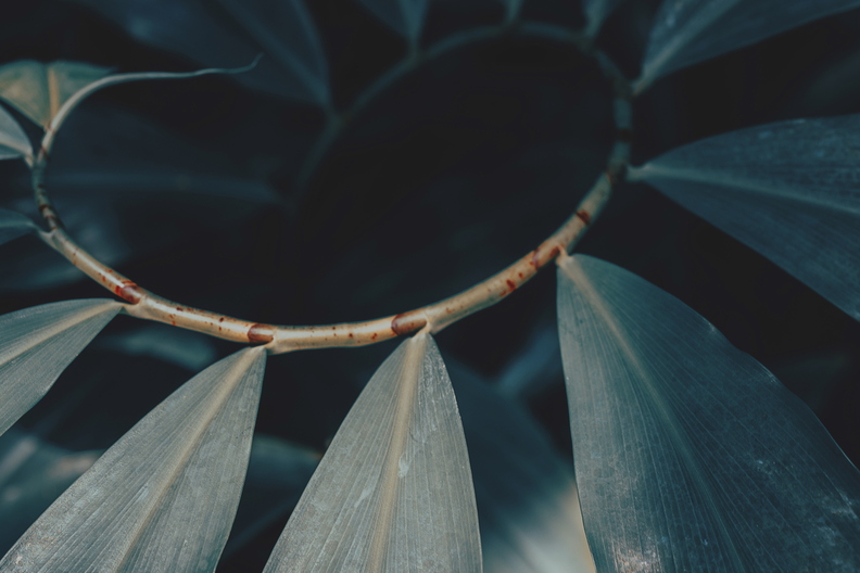 iStock-1085303704.jpg