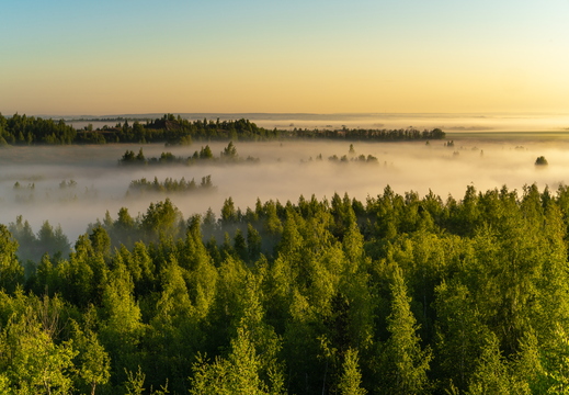 iStock-1208780607
