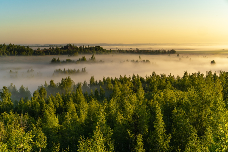 iStock-1208780607.jpg